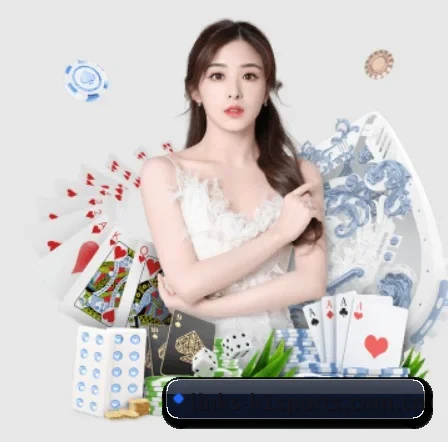 k1体育平台 APP